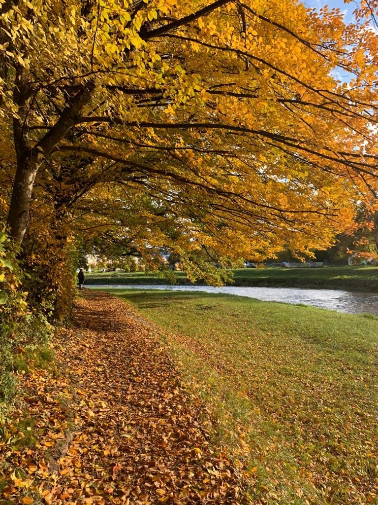 In the mood for... autumn colors