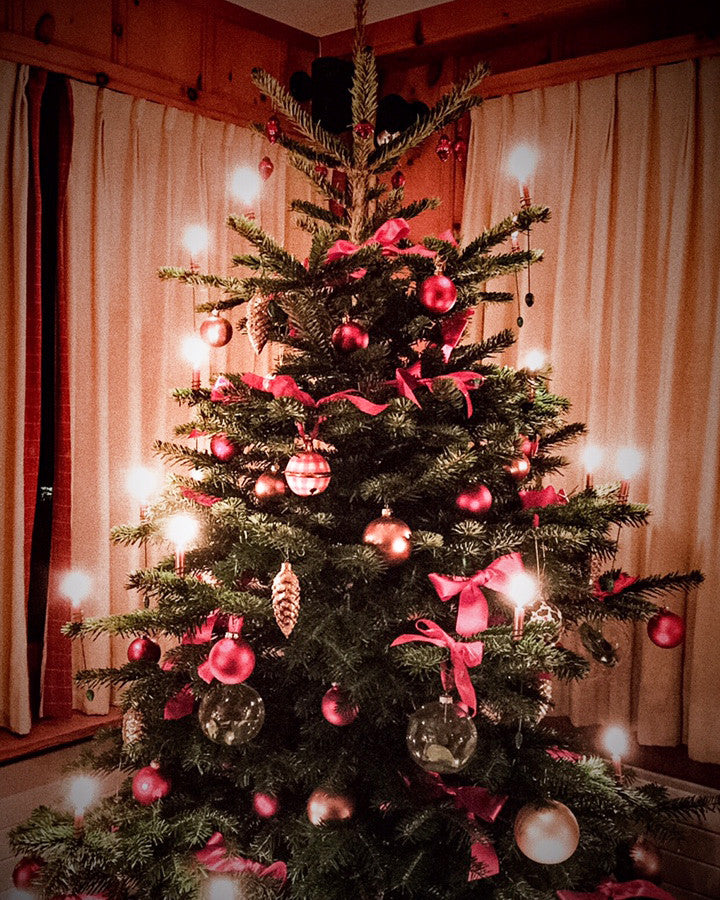 Merry Christmas!